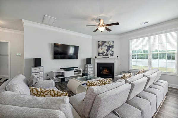 Wat zijn de beste planten voor een balkon of kleine ruimte?